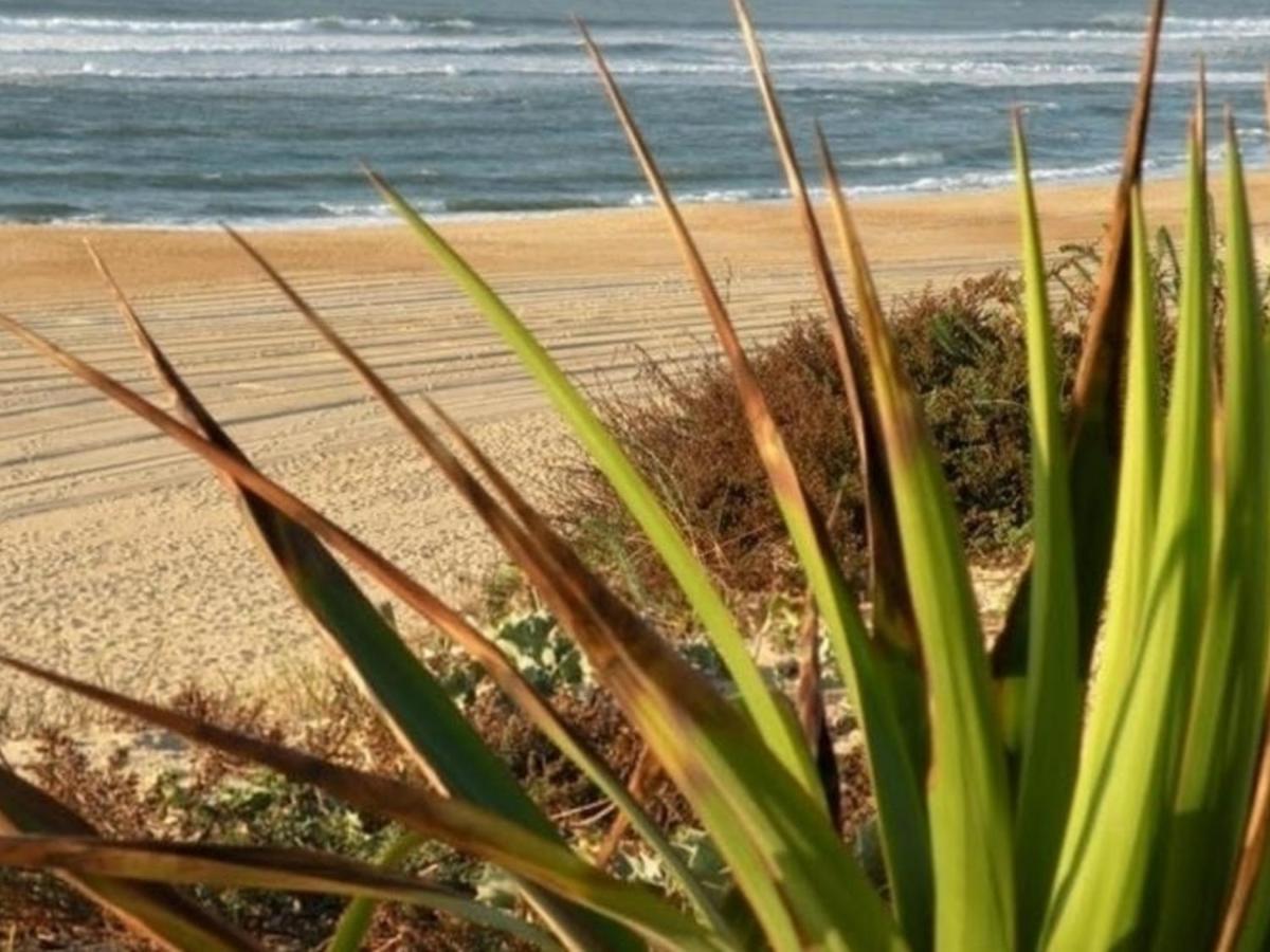 Maison Renovee Avec Terrasse A 700M Des Plages, Marche Et Activites - Tennis Et Piste Cyclable A 10M - Fr-1-239-385 Seignosse Kültér fotó